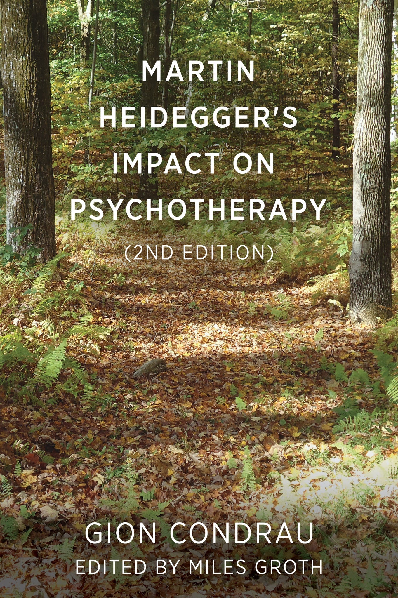 Cover image for Martin Heidegger's Impact on Psychotherapy (2nd ed.) ISBN 9781911383642